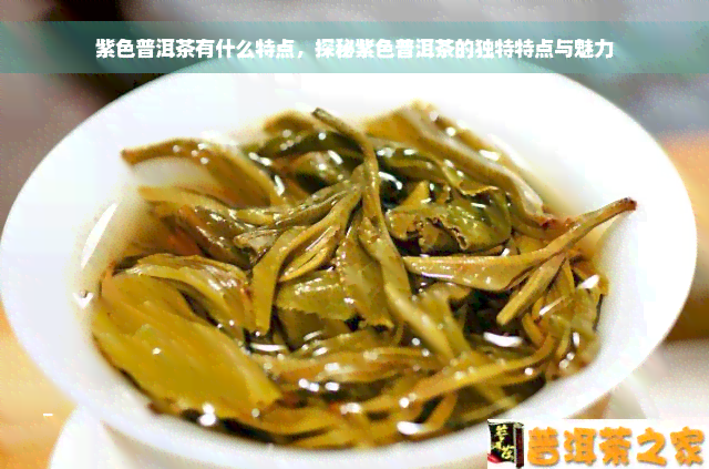 紫色普洱茶有什么特点，探秘紫色普洱茶的独特特点与魅力