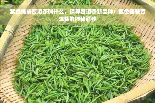 紫色桶装普洱茶叫什么，探寻普洱茶新品种：紫色桶装普洱茶的神秘面纱