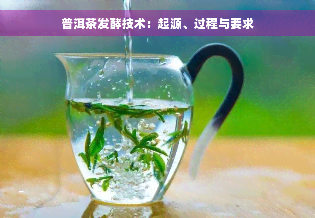 普洱茶发酵技术：起源、过程与要求