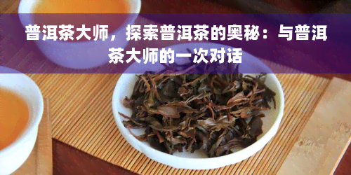 普洱茶大师，探索普洱茶的奥秘：与普洱茶大师的一次对话