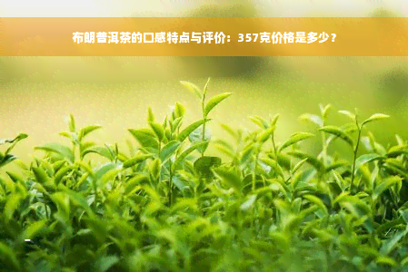 布朗普洱茶的口感特点与评价：357克价格是多少？