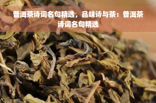 普洱茶诗词名句精选，品味诗与茶：普洱茶诗词名句精选