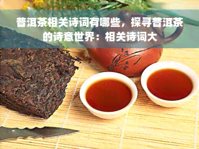 普洱茶相关诗词有哪些，探寻普洱茶的诗意世界：相关诗词大