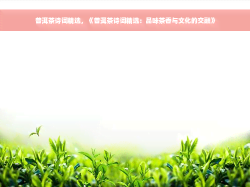 普洱茶诗词精选，《普洱茶诗词精选：品味茶香与文化的交融》