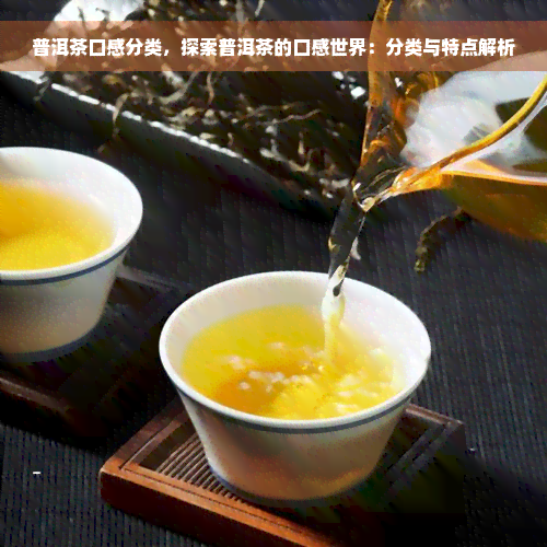 普洱茶口感分类，探索普洱茶的口感世界：分类与特点解析