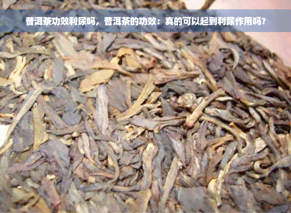 普洱茶功效利尿吗，普洱茶的功效：真的可以起到利尿作用吗？