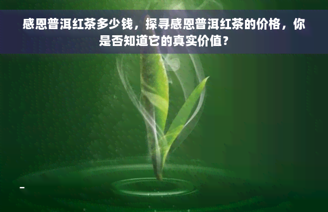 感恩普洱红茶多少钱，探寻感恩普洱红茶的价格，你是否知道它的真实价值？