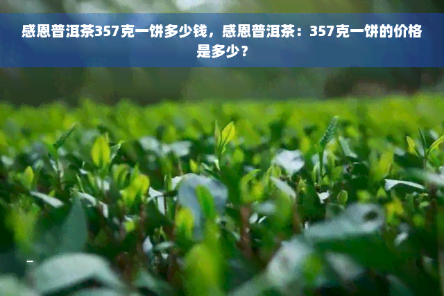 感恩普洱茶357克一饼多少钱，感恩普洱茶：357克一饼的价格是多少？