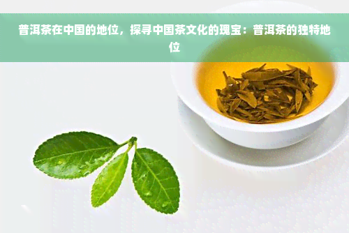 普洱茶在中国的地位，探寻中国茶文化的瑰宝：普洱茶的独特地位