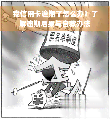 我信用卡逾期了怎么办？了解逾期后果与自救办法