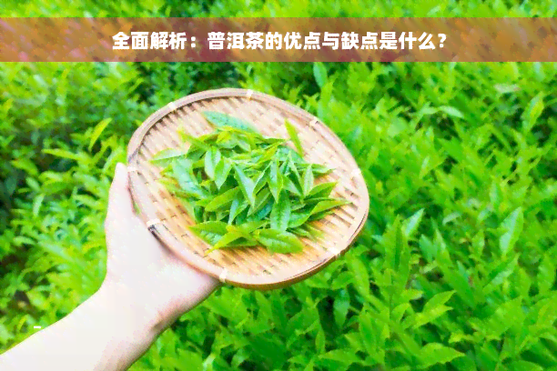 全面解析：普洱茶的优点与缺点是什么？