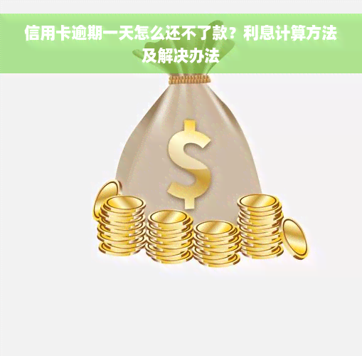 信用卡逾期一天怎么还不了款？利息计算方法及解决办法