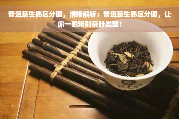 普洱茶生熟区分图，清晰解析：普洱茶生熟区分图，让你一眼辨别茶叶类型！