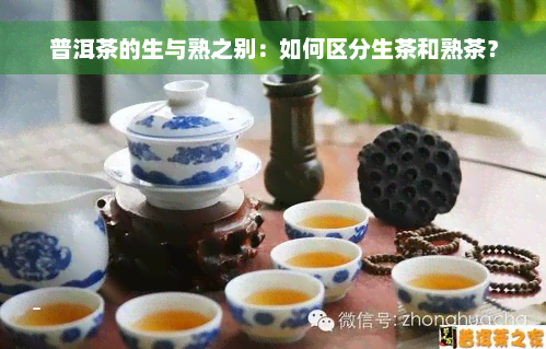 普洱茶的生与熟之别：如何区分生茶和熟茶？