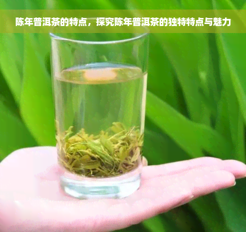 陈年普洱茶的特点，探究陈年普洱茶的独特特点与魅力