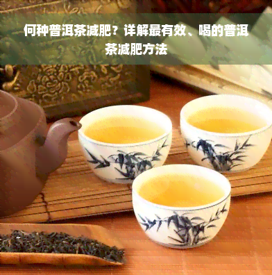 何种普洱茶减肥？详解最有效、喝的普洱茶减肥方法