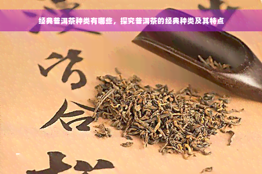 经典普洱茶种类有哪些，探究普洱茶的经典种类及其特点