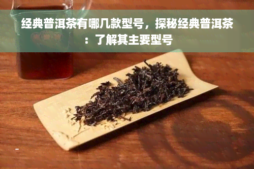 经典普洱茶有哪几款型号，探秘经典普洱茶：了解其主要型号