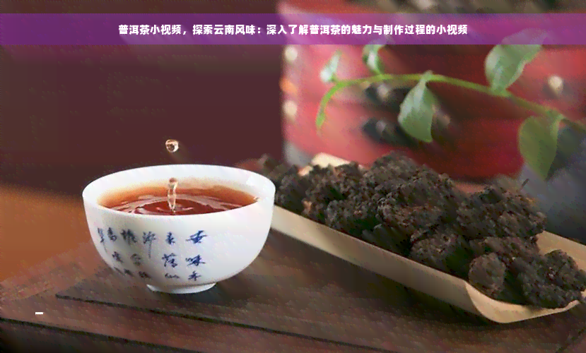 普洱茶小视频，探索云南风味：深入了解普洱茶的魅力与制作过程的小视频