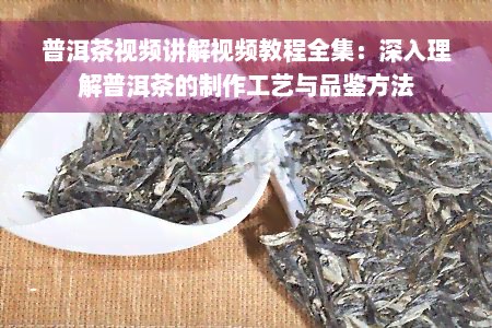 普洱茶视频讲解视频教程全集：深入理解普洱茶的制作工艺与品鉴方法