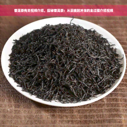 普洱茶有关视频介绍，探秘普洱茶：从采摘到冲泡的全过程介绍视频