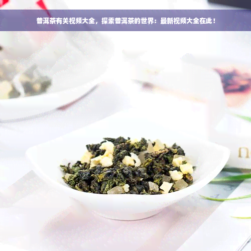 普洱茶有关视频大全，探索普洱茶的世界：最新视频大全在此！