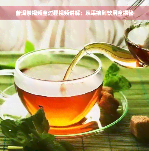 普洱茶视频全过程视频讲解：从采摘到饮用全揭秘