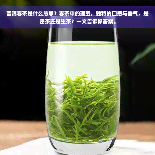 普洱春茶是什么意思？春茶中的瑰宝，独特的口感与香气，是熟茶还是生茶？一文告诉你答案。