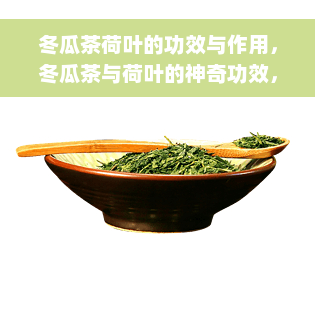 冬瓜茶荷叶的功效与作用，冬瓜茶与荷叶的神奇功效，你了解多少？