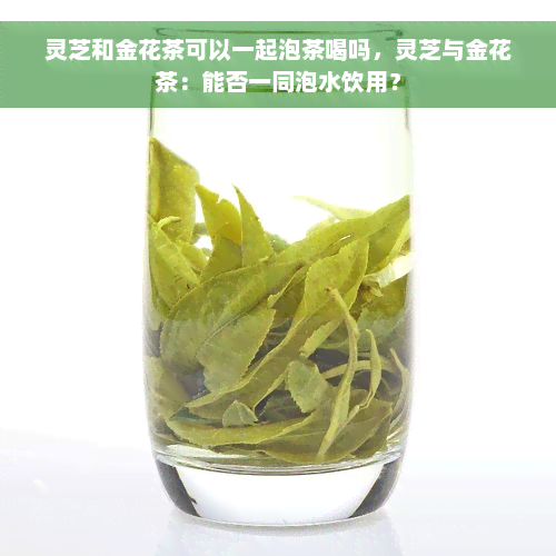 灵芝和金花茶可以一起泡茶喝吗，灵芝与金花茶：能否一同泡水饮用？