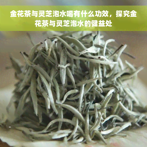 金花茶与灵芝泡水喝有什么功效，探究金花茶与灵芝泡水的健益处