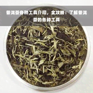 普洱茶各种工具介绍，全攻略：了解普洱茶的各种工具