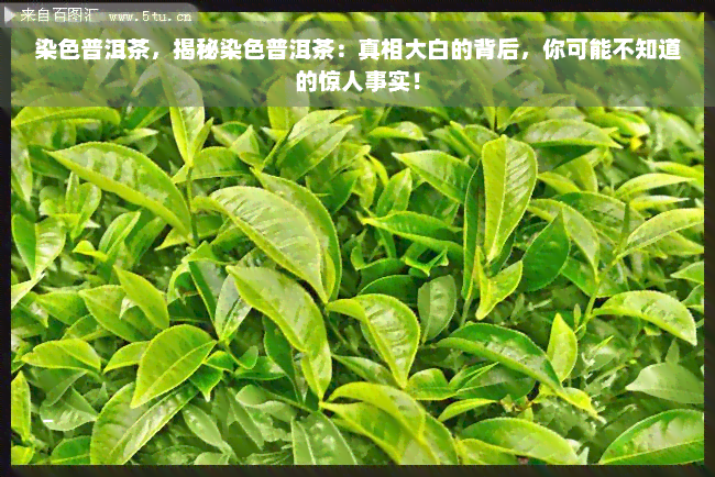 染色普洱茶，揭秘染色普洱茶：真相大白的背后，你可能不知道的惊人事实！