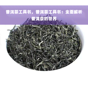 普洱茶工具书，普洱茶工具书：全面解析普洱茶的世界