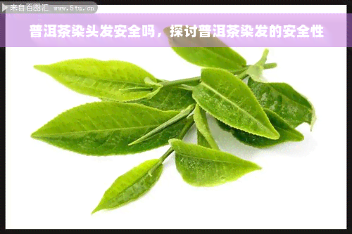 普洱茶染头发安全吗，探讨普洱茶染发的安全性