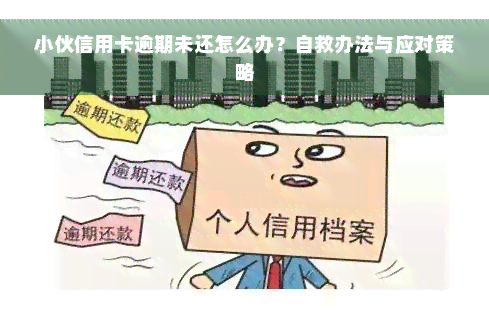 小伙信用卡逾期未还怎么办？自救办法与应对策略