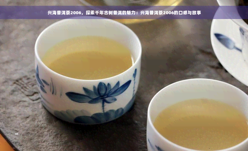 兴海普洱茶2006，探索千年古树普洱的魅力：兴海普洱茶2006的口感与故事