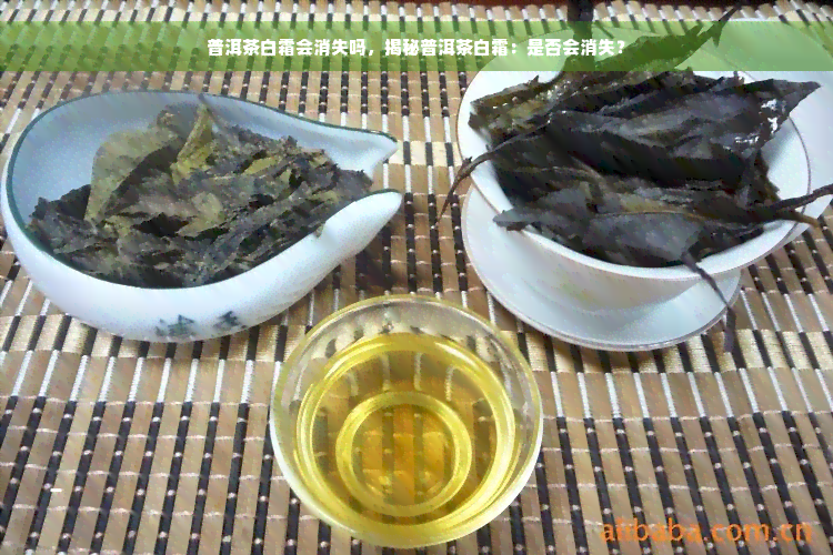 普洱茶白霜会消失吗，揭秘普洱茶白霜：是否会消失？