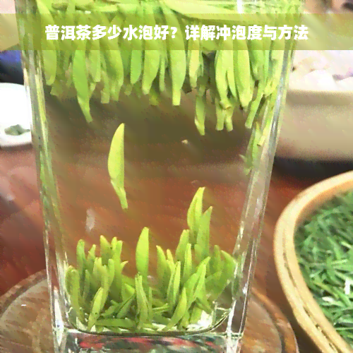 普洱茶多少水泡好？详解冲泡度与方法