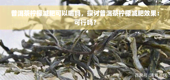 普洱茶柠檬减肥可以喝吗，探讨普洱茶柠檬减肥效果：可行吗？