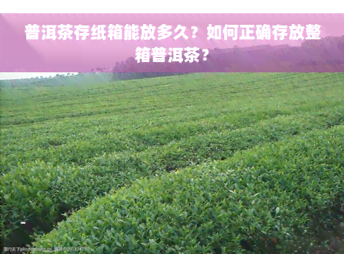 普洱茶存纸箱能放多久？如何正确存放整箱普洱茶？