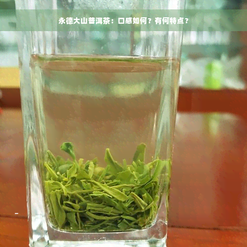 永德大山普洱茶：口感如何？有何特点？