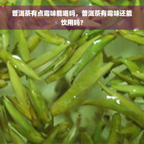 普洱茶有点霉味能喝吗，普洱茶有霉味还能饮用吗？