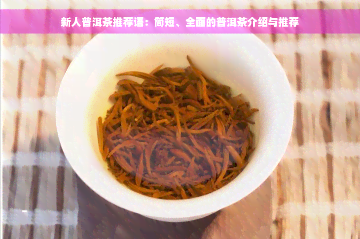 新人普洱茶推荐语：简短、全面的普洱茶介绍与推荐