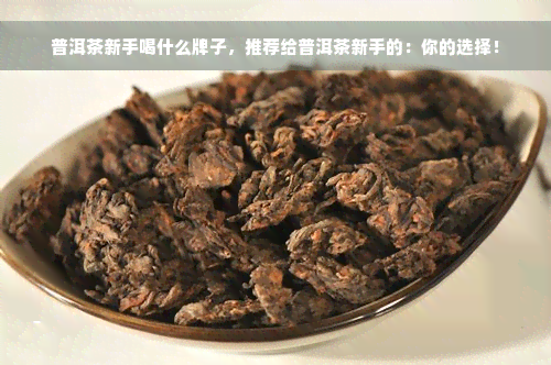 普洱茶新手喝什么牌子，推荐给普洱茶新手的：你的选择！