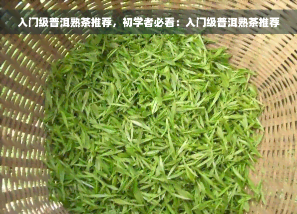 入门级普洱熟茶推荐，初学者必看：入门级普洱熟茶推荐