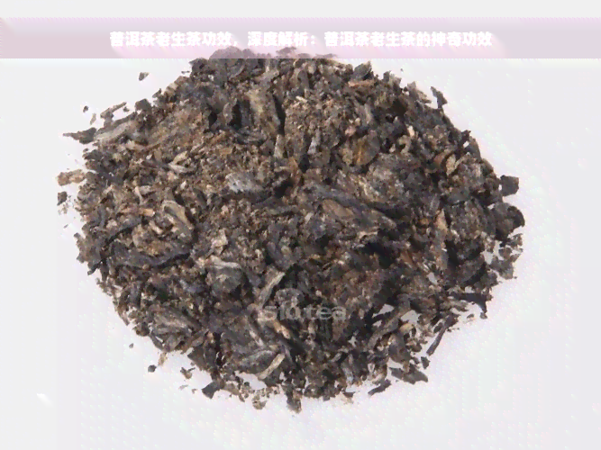 普洱茶老生茶功效，深度解析：普洱茶老生茶的神奇功效