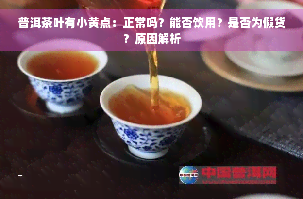 普洱茶叶有小黄点：正常吗？能否饮用？是否为假货？原因解析