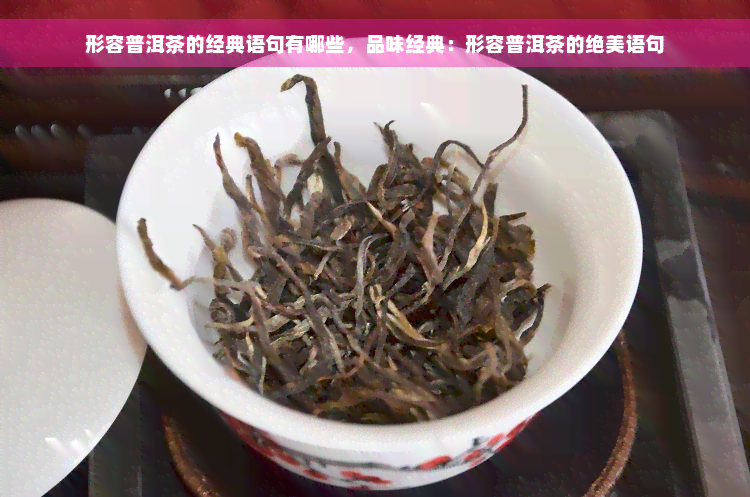 形容普洱茶的经典语句有哪些，品味经典：形容普洱茶的绝美语句