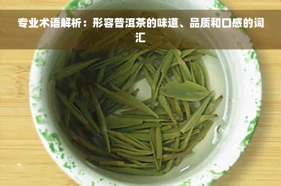 专业术语解析：形容普洱茶的味道、品质和口感的词汇